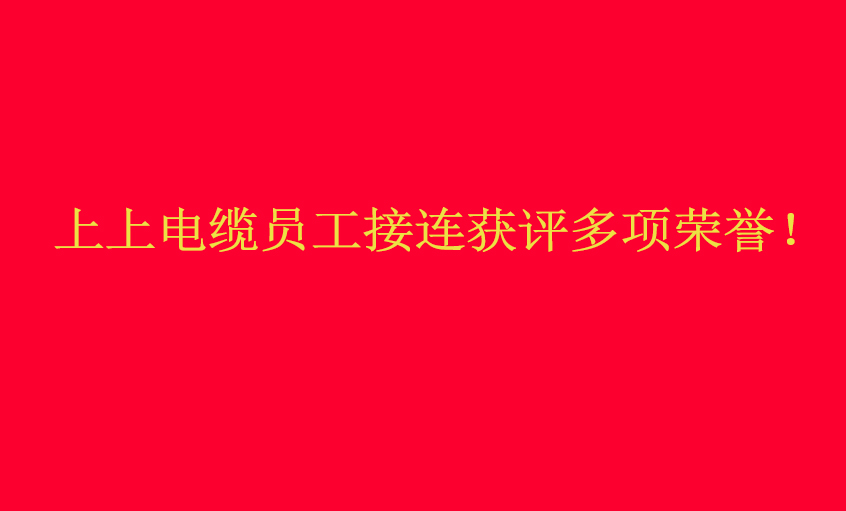 兴发娱乐电缆员工接连获评多项声誉